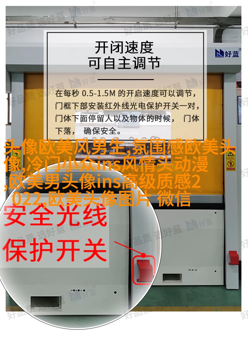 欧美高贵气质女人图片头像
