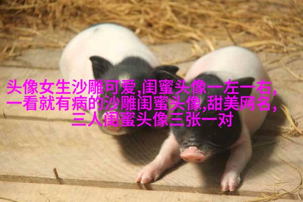 很罕见又很好看的闺蜜头像(22张)