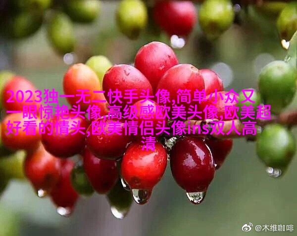 男英伦欧美风头像