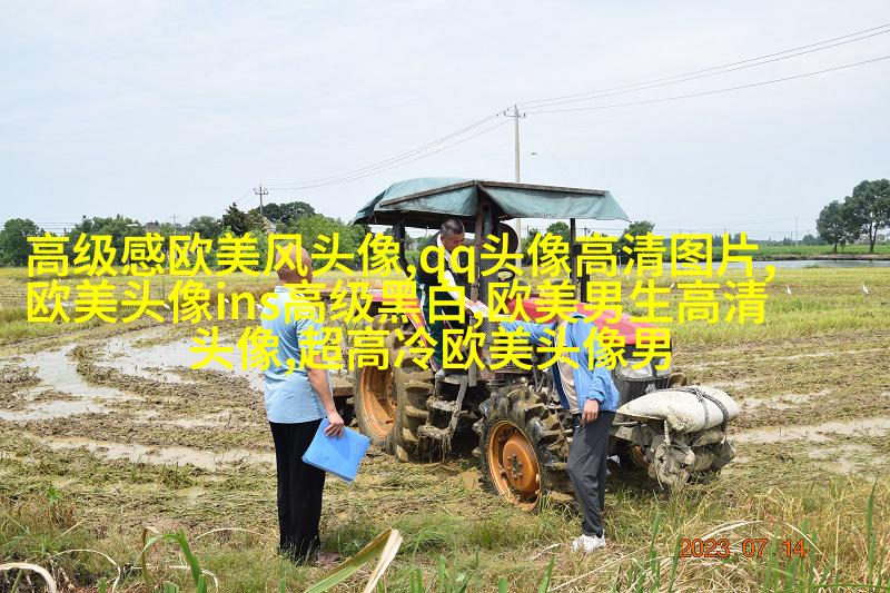 高清欧美头像女生高冷图片(24张)