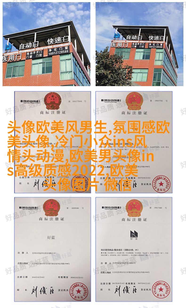 欧美高贵气质女人图片头像