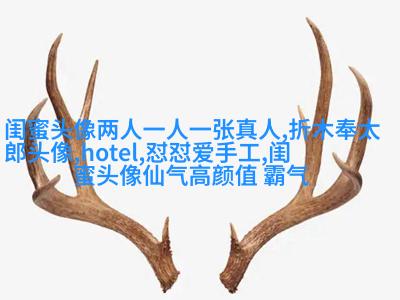 数学公式星座闺蜜头像(优选18张)