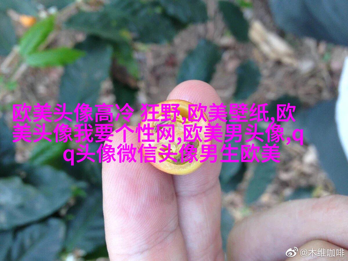 超级霸气的欧美男生头像_霸气是一种魅力