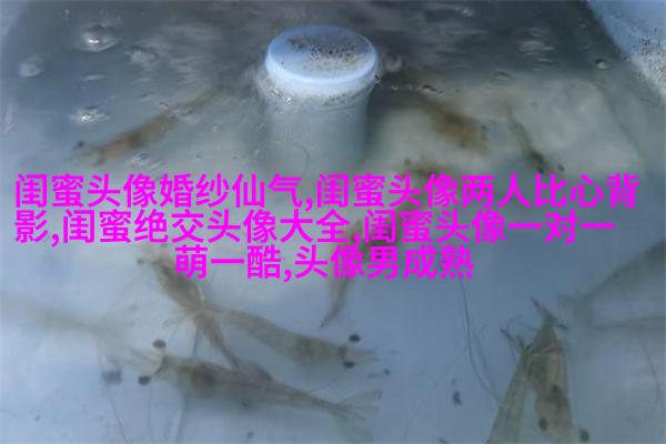 古风闺蜜头像一对一张真人(优选26张)