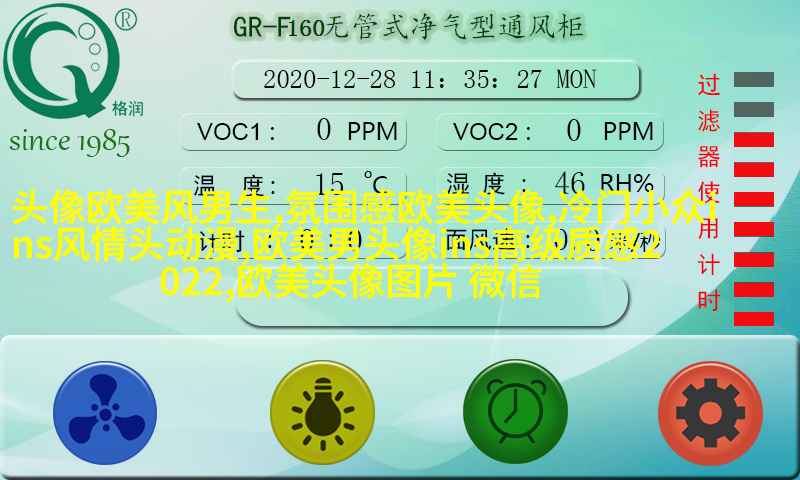 欧美高贵气质女人图片头像