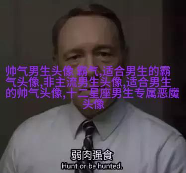 超拽有趣的微博男生个性头像图片(24张)