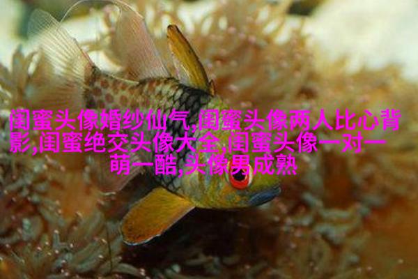 古风闺蜜头像一对一张真人(优选26张)