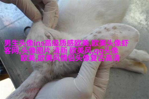 欧美小萝莉qq头像