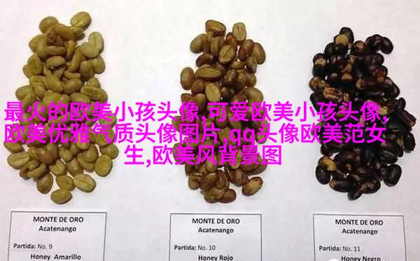 欧美范气质高冷头像(24张)