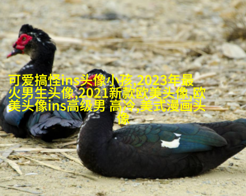 2023很惊艳的颜值逆天欧美女生头像(优选18张)
