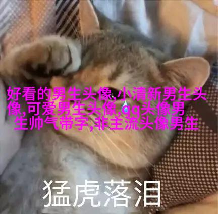 2023qq头像男生帅气呆萌高清图片(18张)