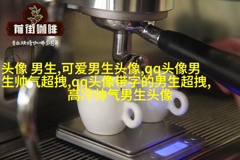 帅气超拽的男生qq头像图片(18张)